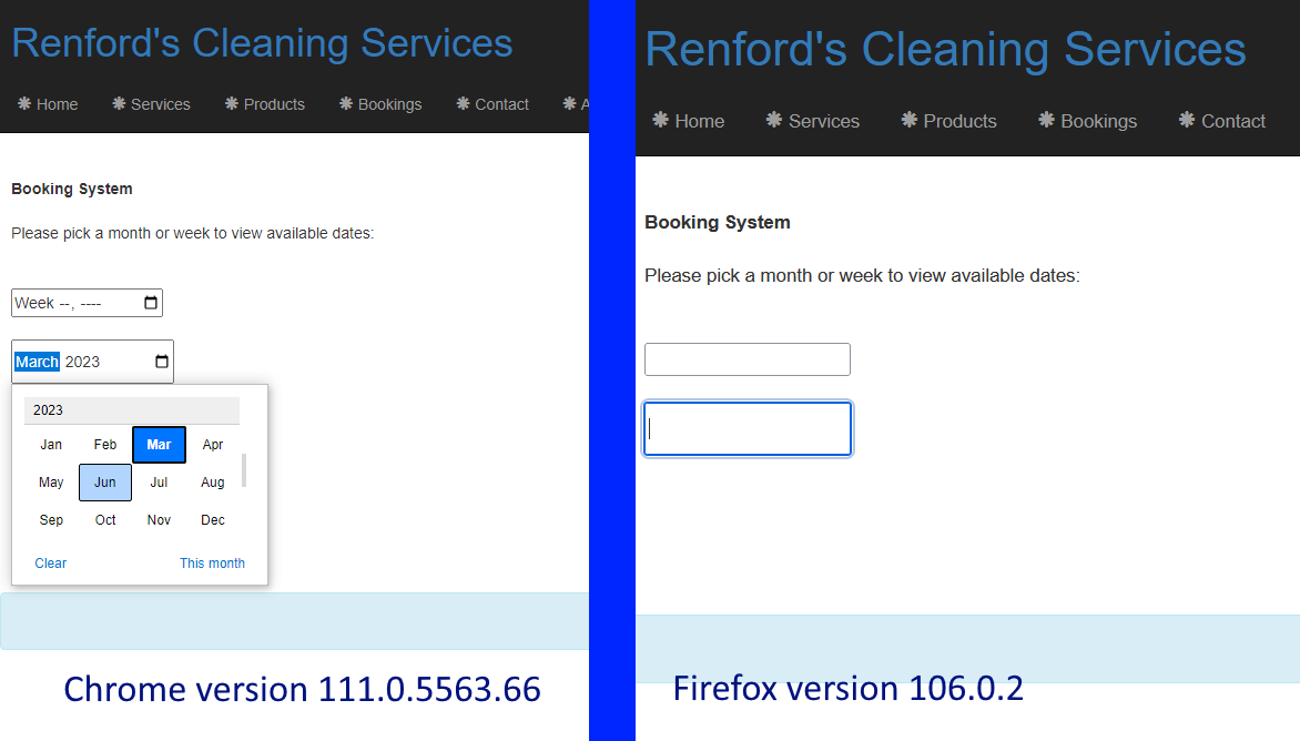 Renford's Cleaning Services Browser Differences Example