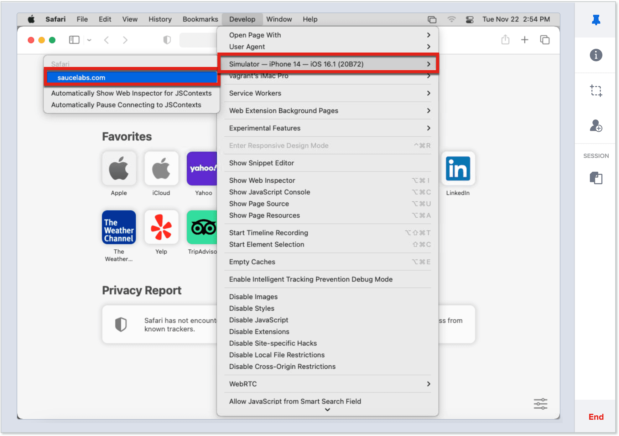 How to Inspect Element on iPhone